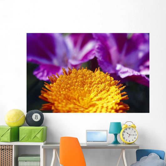 Closeup Of Flower Blossom Wall Mural