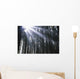 Sunbeams Through Silhouetted Pine Trees Wall Mural