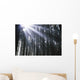 Sunbeams Through Silhouetted Pine Trees Wall Mural
