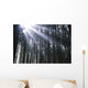 Sunbeams Through Silhouetted Pine Trees Wall Mural