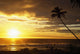 Sunrise With Palm Trees Wall Mural