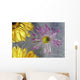 Flower Blossoms Under Ice Wall Mural