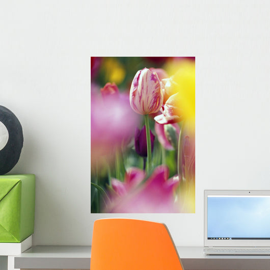 Tulip Flower Wall Mural