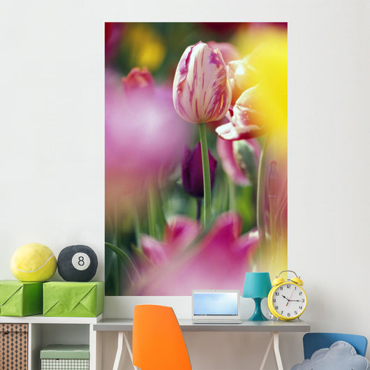 Tulip Flower Wall Mural