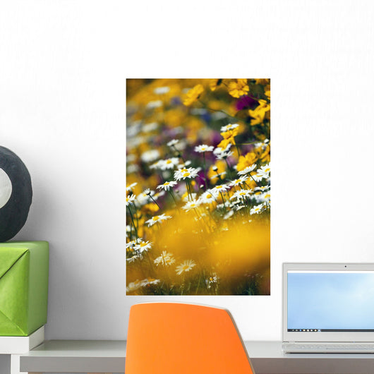 Group Of Daisies Wall Mural