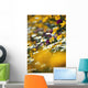 Group Of Daisies Wall Mural