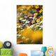 Group Of Daisies Wall Mural