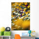 Group Of Daisies Wall Mural