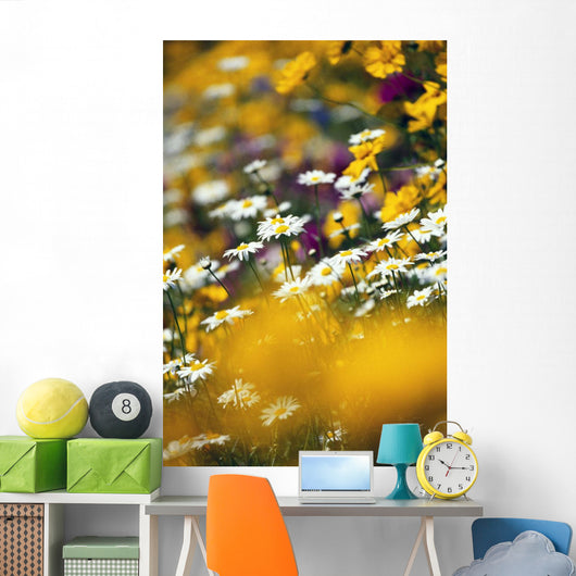 Group Of Daisies Wall Mural