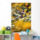 Group Of Daisies Wall Mural
