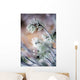 Frost On Pine Tree Branches Wall Mural