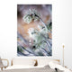 Frost On Pine Tree Branches Wall Mural