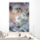 Frost On Pine Tree Branches Wall Mural