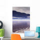 Water Horizon Wall Mural