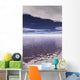 Water Horizon Wall Mural