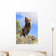 Grizzly Bear Roaring Wall Mural