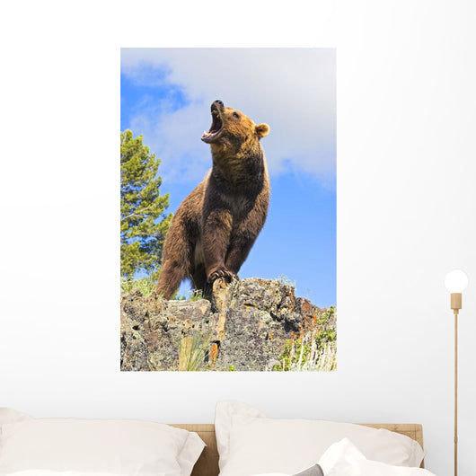 Grizzly Bear Roaring Wall Mural