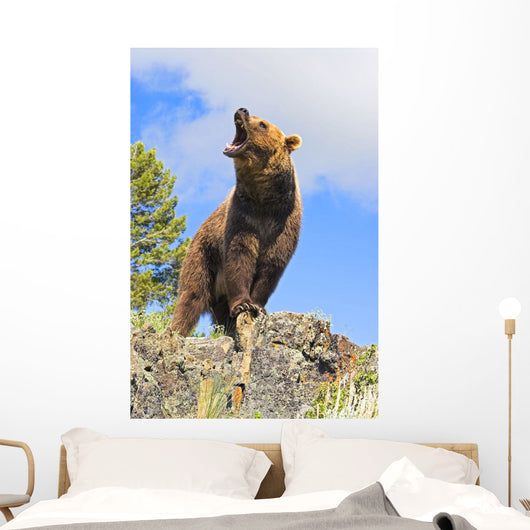 Grizzly Bear Roaring Wall Mural