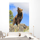 Grizzly Bear Roaring Wall Mural
