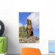 Grizzly Bear Standing On A Ridge Wall Mural