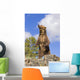 Grizzly Bear Standing On A Ridge Wall Mural