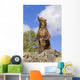 Grizzly Bear Standing On A Ridge Wall Mural