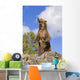 Grizzly Bear Standing On A Ridge Wall Mural