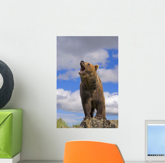 Grizzly Bear Roaring Wall Mural