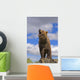 Grizzly Bear Roaring Wall Mural
