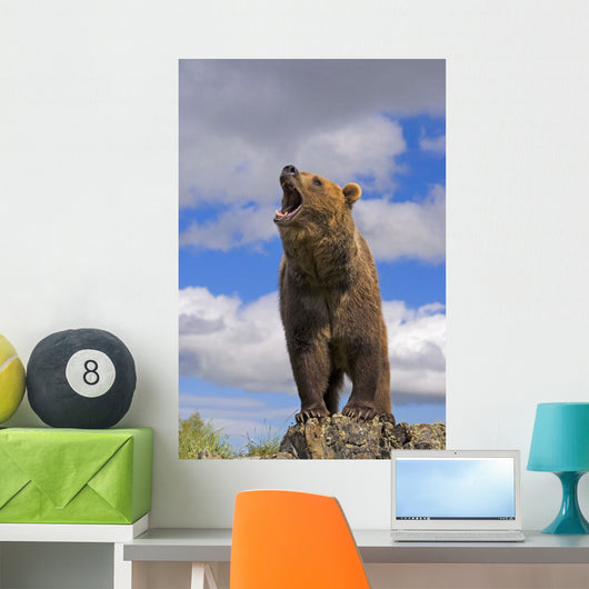 Grizzly Bear Roaring Wall Mural