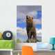 Grizzly Bear Roaring Wall Mural