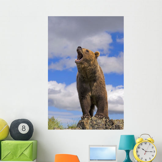 Grizzly Bear Roaring Wall Mural