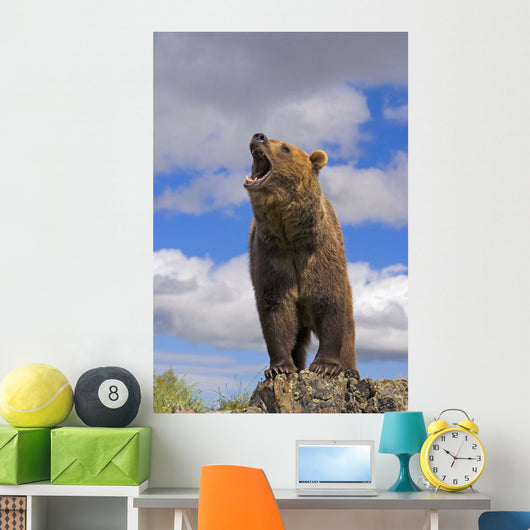 Grizzly Bear Roaring Wall Mural