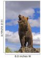 Grizzly Bear Roaring Wall Mural