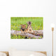 Wolf Cubs On Log Wall Mural