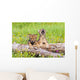 Wolf Cubs On Log Wall Mural