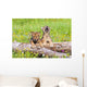 Wolf Cubs On Log Wall Mural