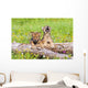 Wolf Cubs On Log Wall Mural