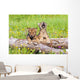 Wolf Cubs On Log Wall Mural