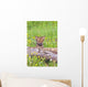 Young Wolf Cub Peering Over Log Wall Mural