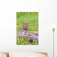 Young Wolf Cub Peering Over Log Wall Mural