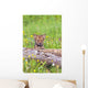 Young Wolf Cub Peering Over Log Wall Mural