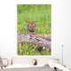 Young Wolf Cub Peering Over Log Wall Mural