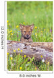 Young Wolf Cub Peering Over Log Wall Mural