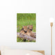 Wolf Cubs On Log Wall Mural