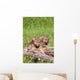 Wolf Cubs On Log Wall Mural