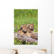 Wolf Cubs On Log Wall Mural