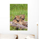 Wolf Cubs On Log Wall Mural