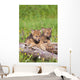 Wolf Cubs On Log Wall Mural