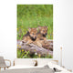 Wolf Cubs On Log Wall Mural